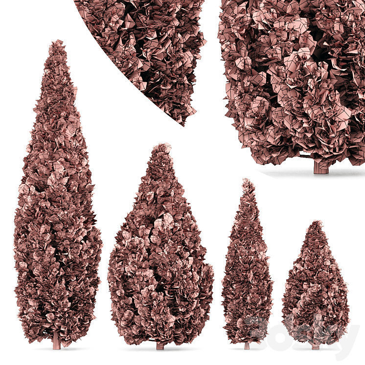 Mountain Juniper tree Juniperus scopulorum Mediterranean Cypress 3D model_4