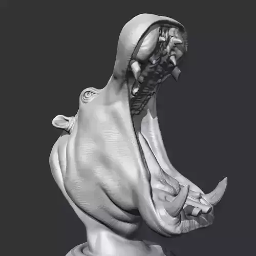 Hippo Head AM11 3D print model 3D print model