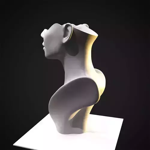 Vase - the girls face 3D print model