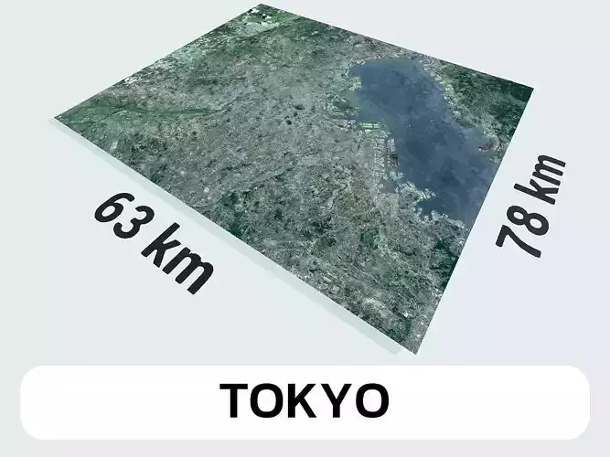 Tokyo Japan City Landscape 3D Model