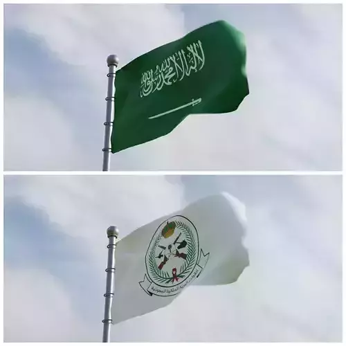 Animated Saudi Arabia Flags