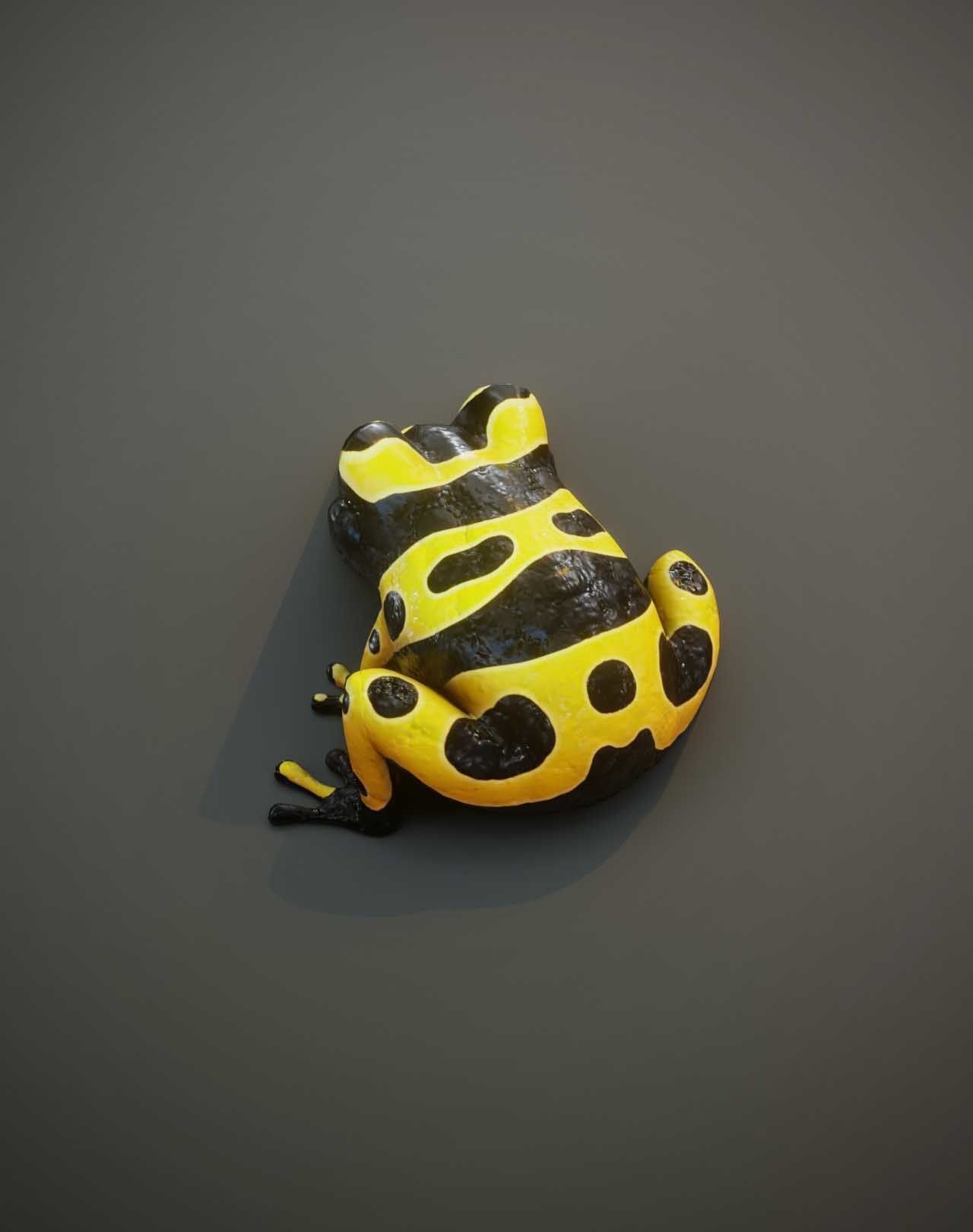 Cartoon Frog with Facial Expressions and 12 Animations 3D Model Collection_32