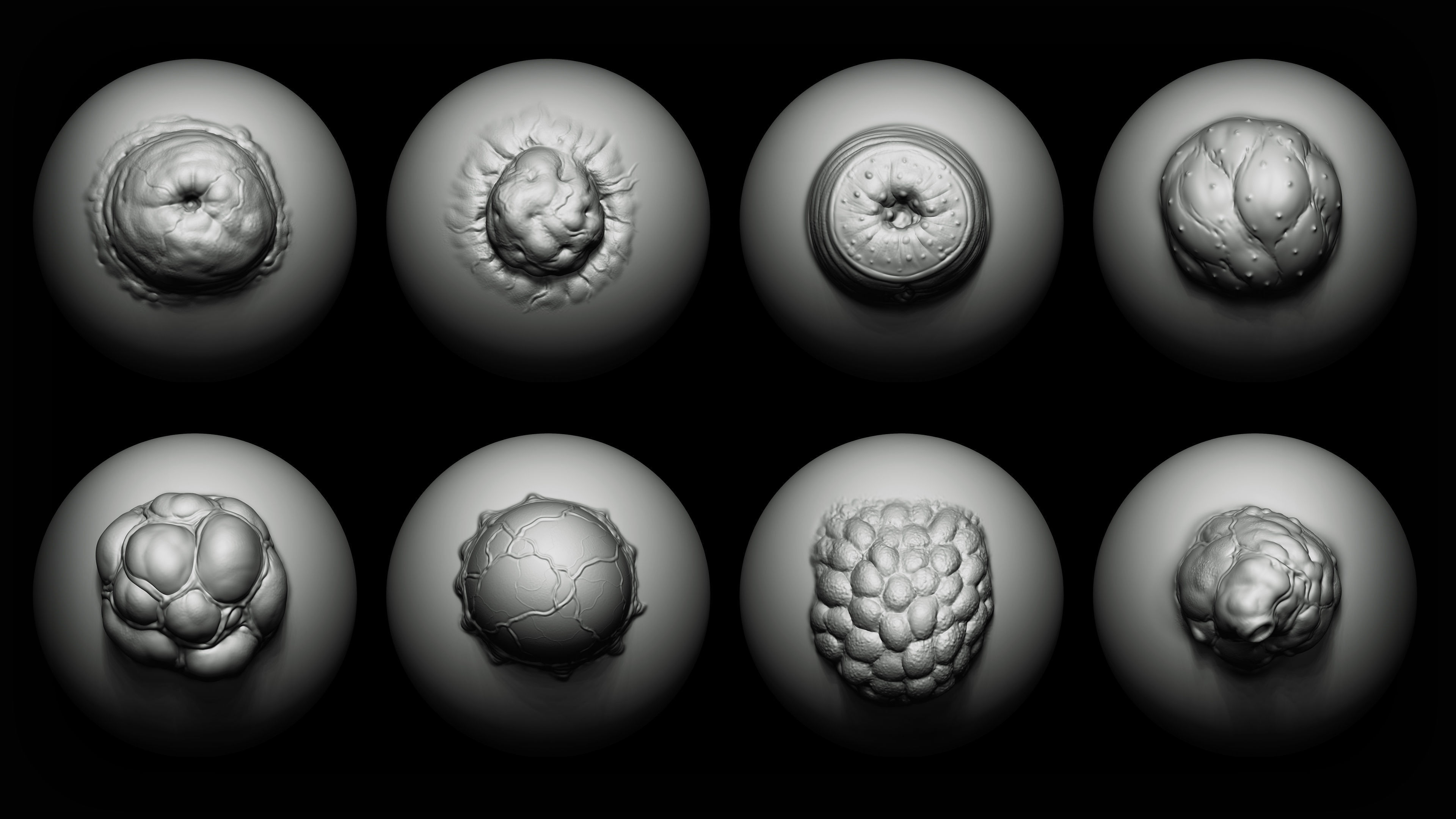 Zbrush Blender 40 Mutant Brush and Alphas Texture_1