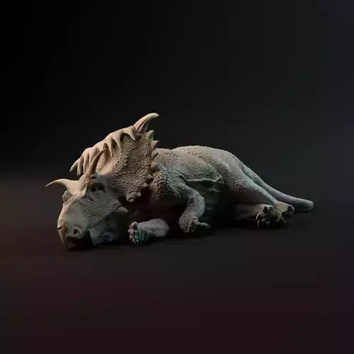 Kosmoceratops sleeping 1-35 scale pre-supported dinosaur