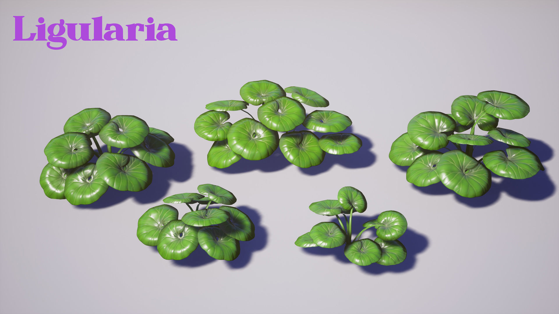 Garden Foliage Pack Low-poly 3D model_7