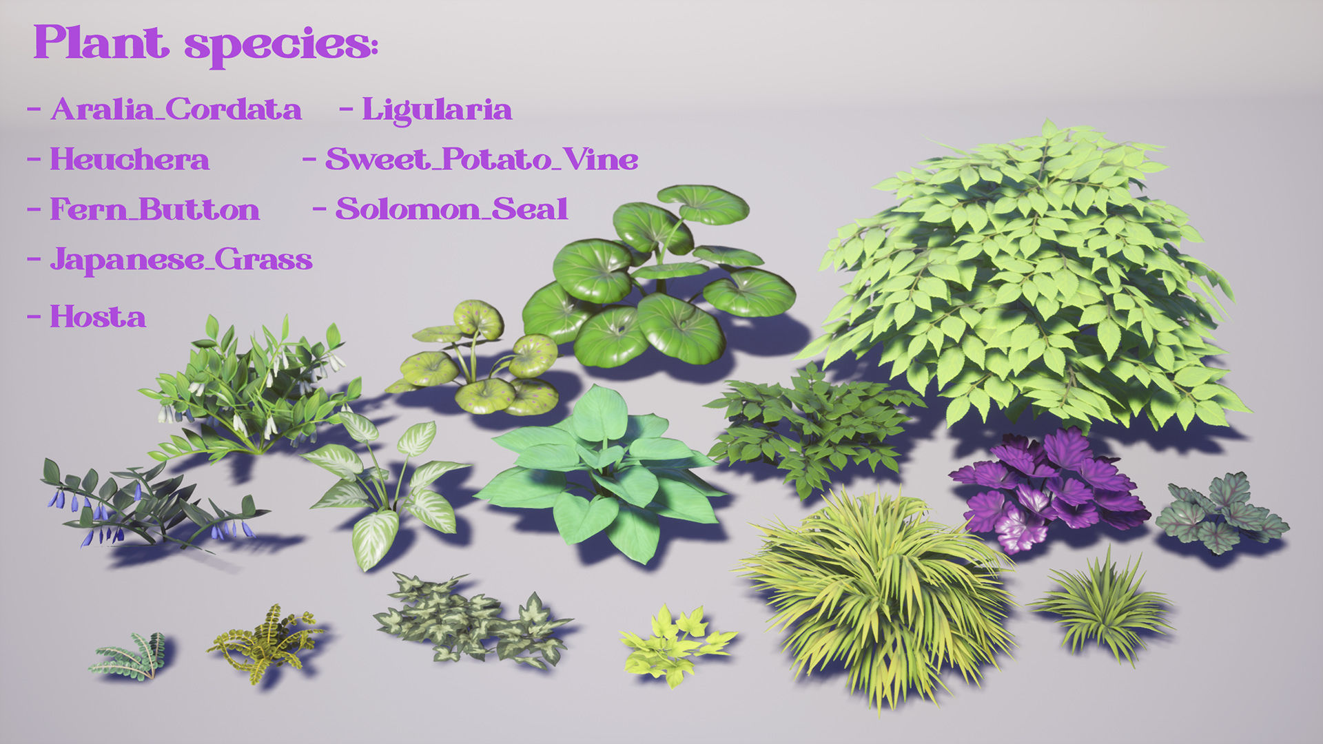 Garden Foliage Pack Low-poly 3D model_5
