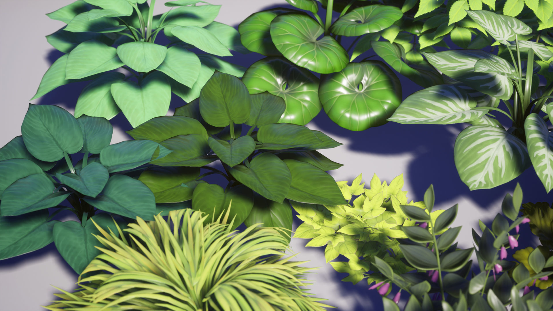 Garden Foliage Pack Low-poly 3D model_16