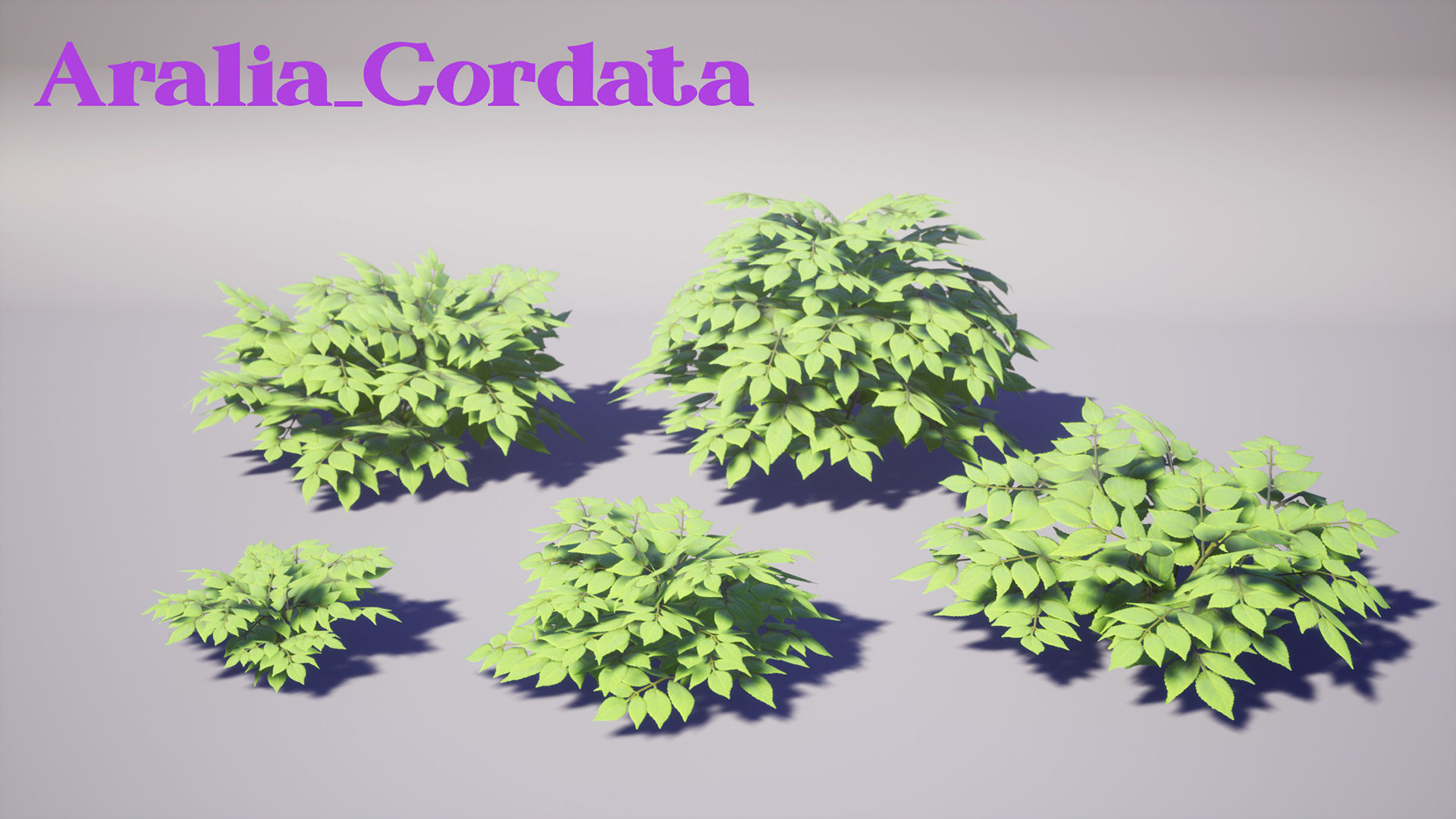 Garden Foliage Pack Low-poly 3D model_6