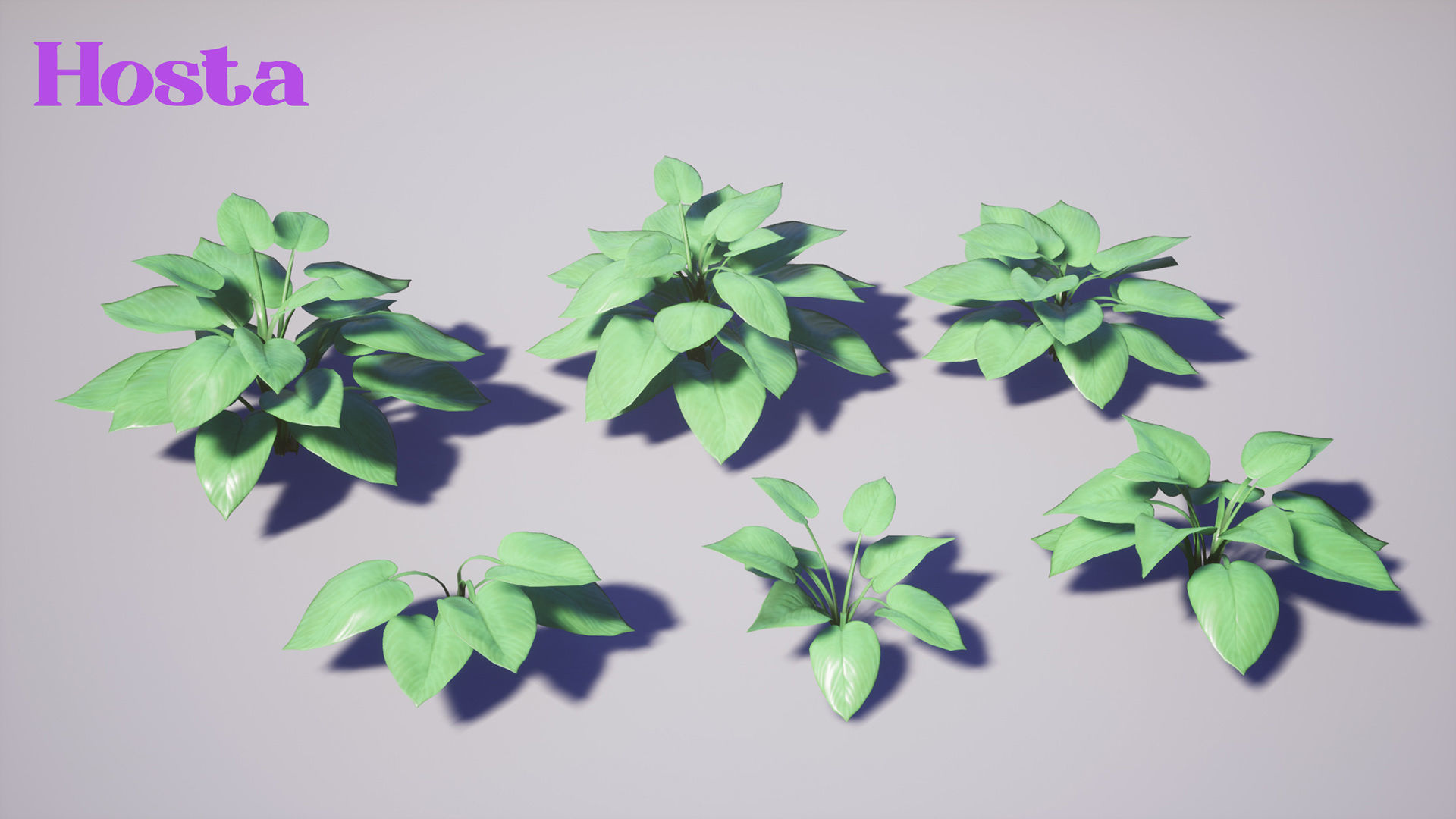 Garden Foliage Pack Low-poly 3D model_8