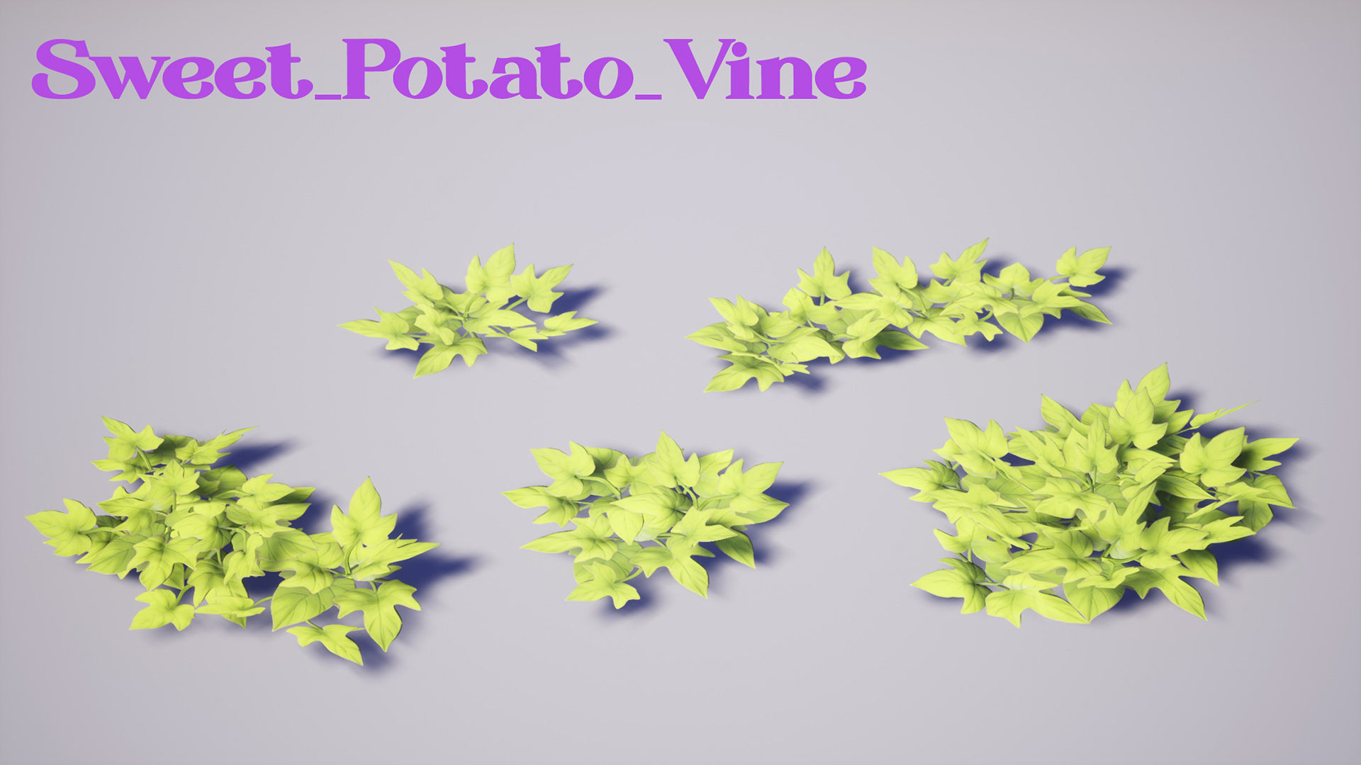 Garden Foliage Pack Low-poly 3D model_12