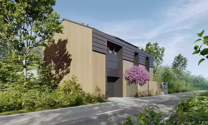 Exterior001 modern house in woods