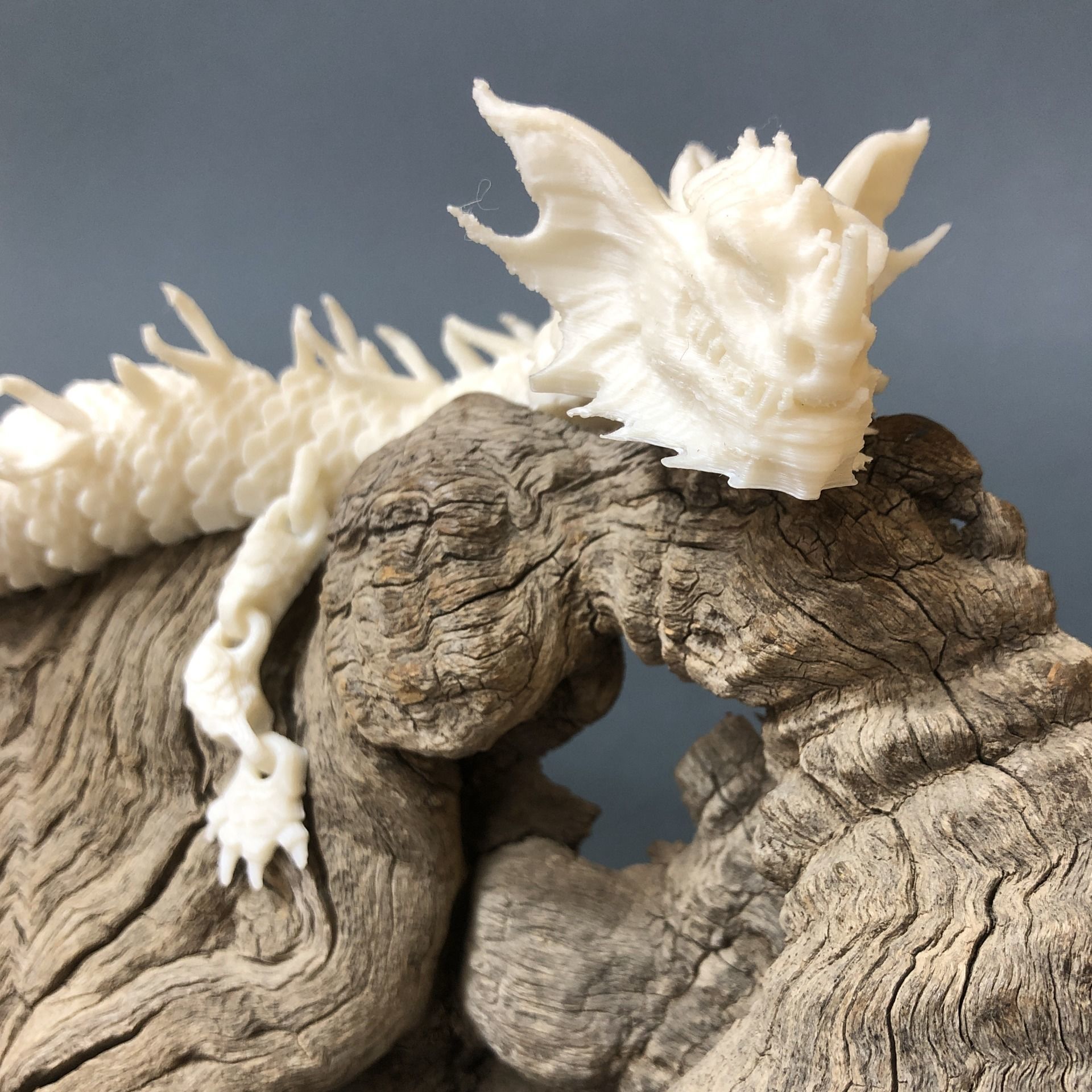 Articulated Dragon 01 3D print model_3