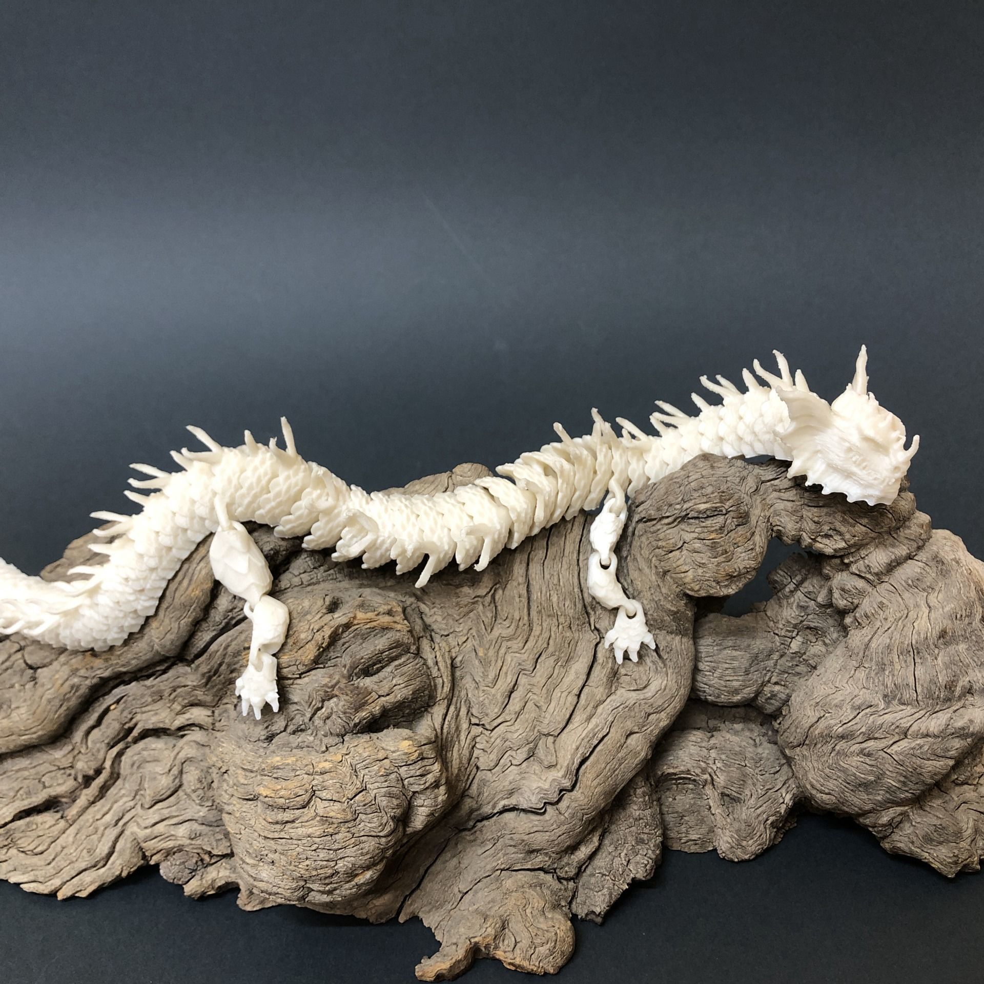 Articulated Dragon 01 3D print model_2