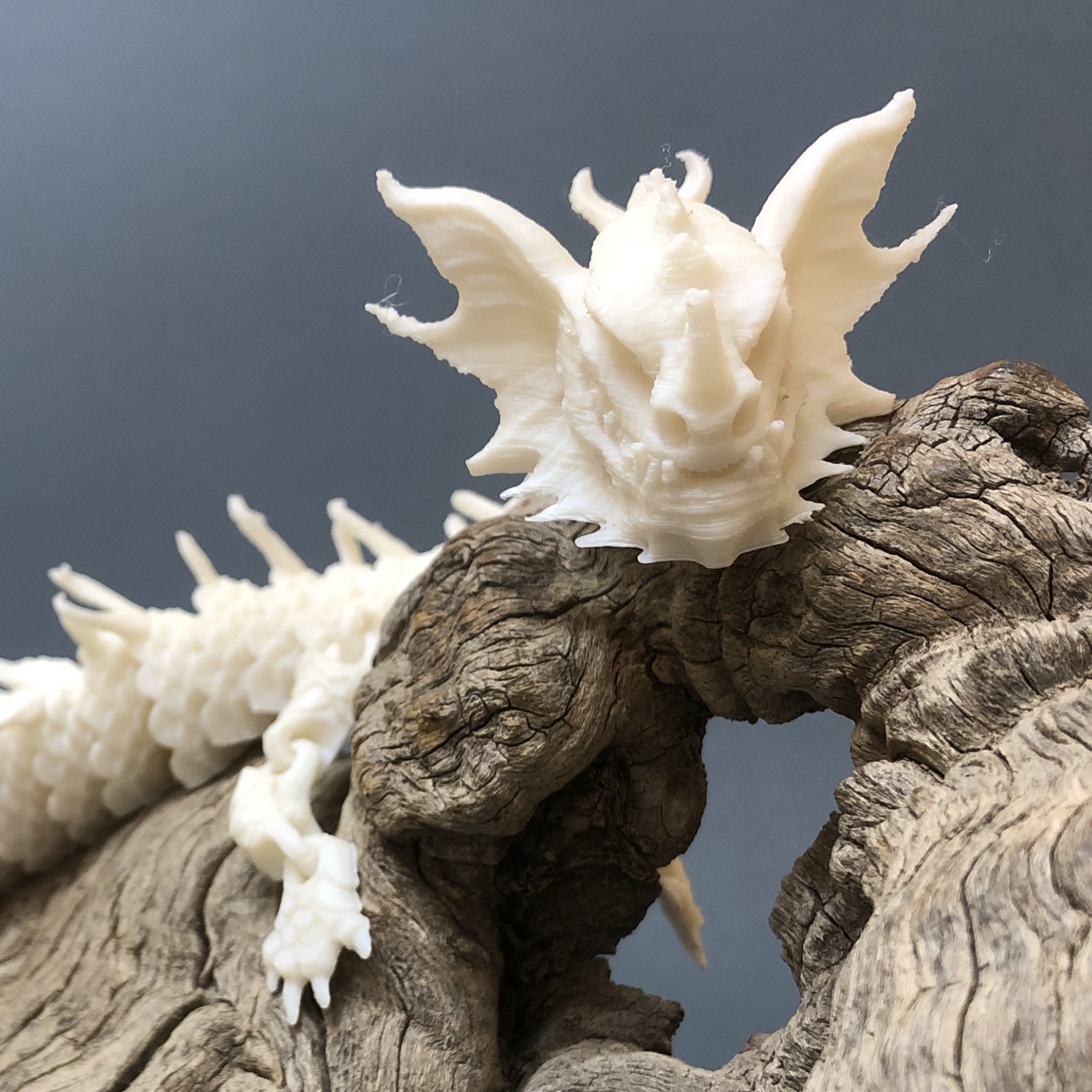 Articulated Dragon 01 3D print model_4