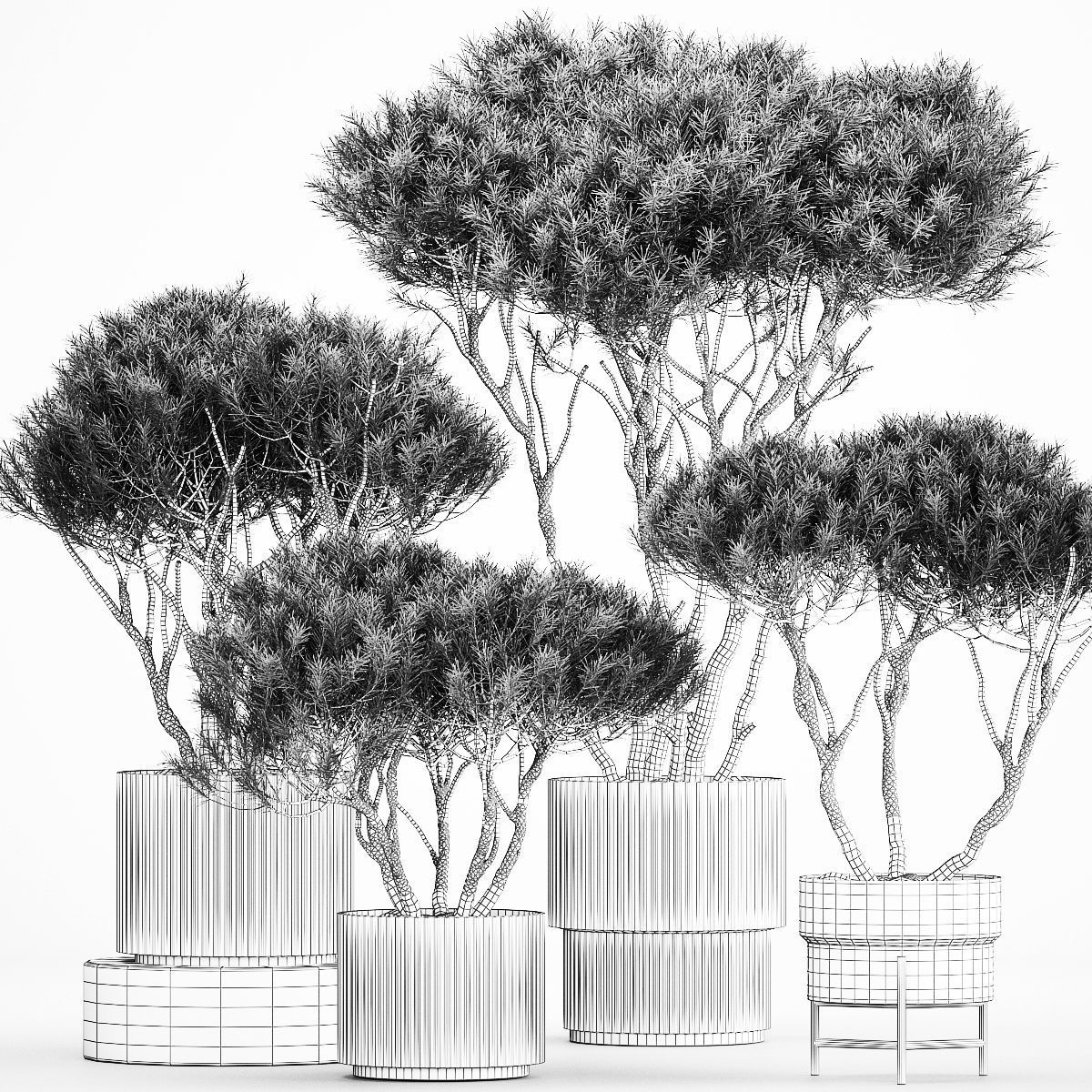 Set Trees in flowerpots topiary pine for decor 1215 3D model_7