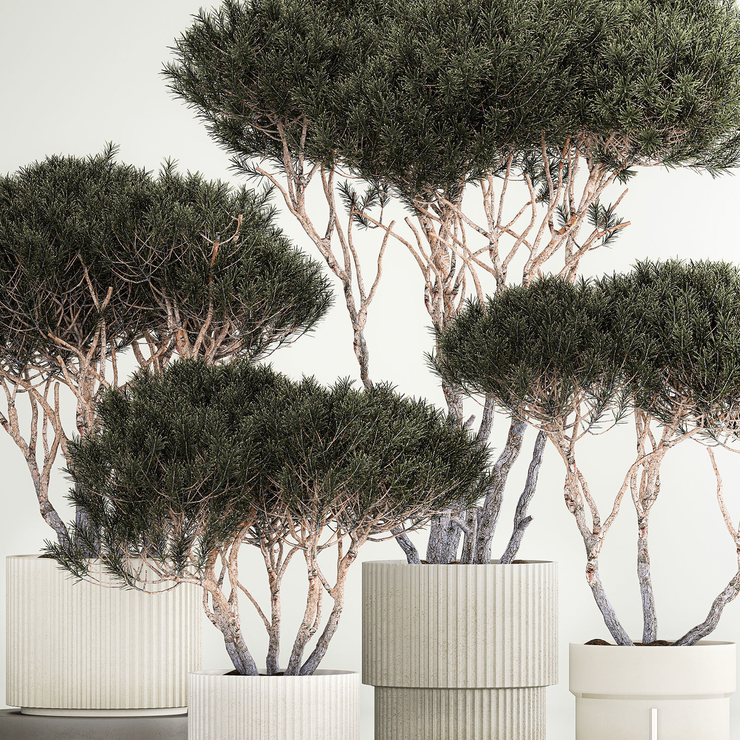 Set Trees in flowerpots topiary pine for decor 1215 3D model_2
