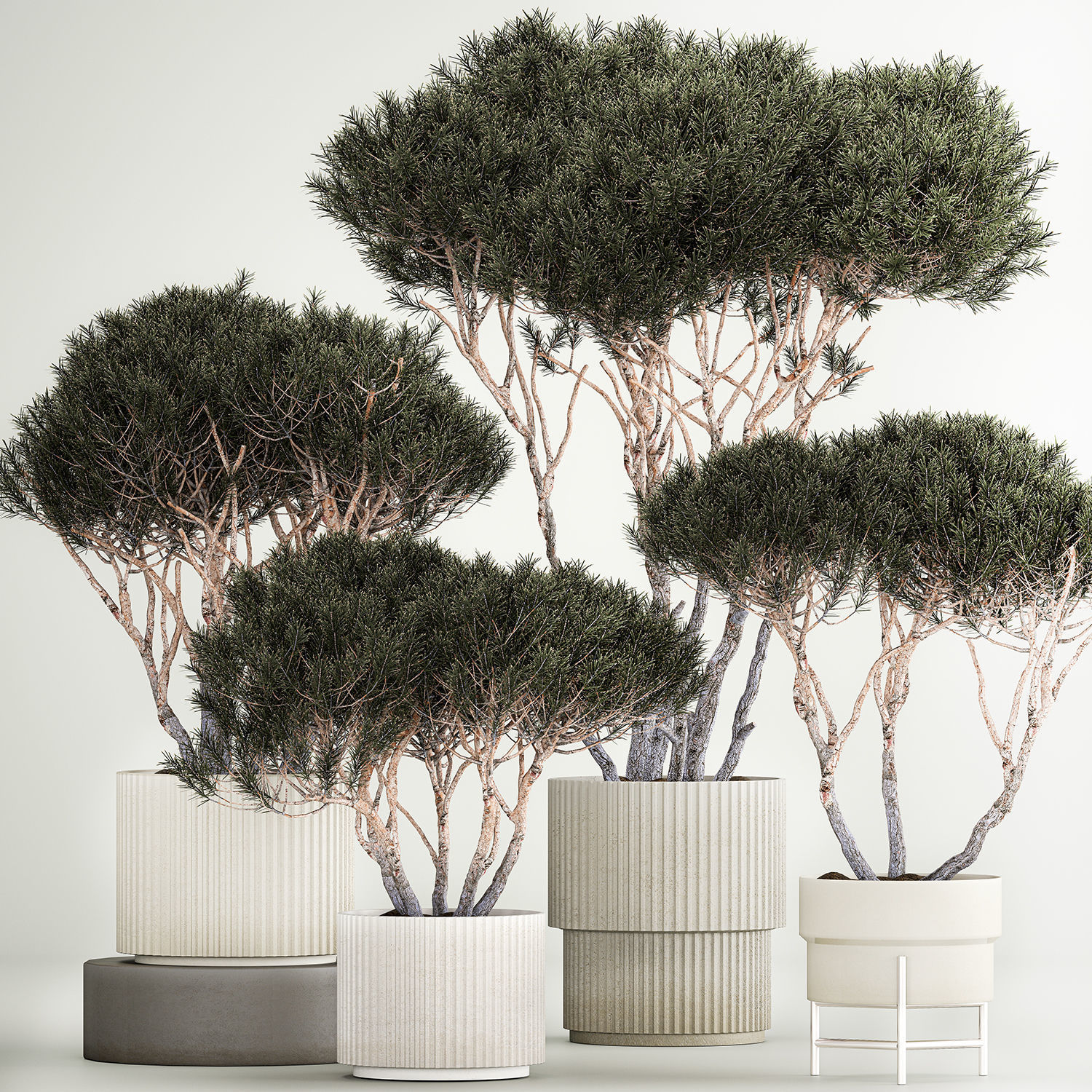 Set Trees in flowerpots topiary pine for decor 1215 3D model_1