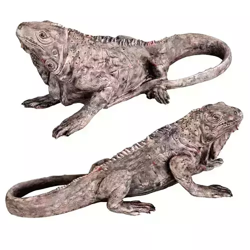 Deco Figurine Iguana 3D model