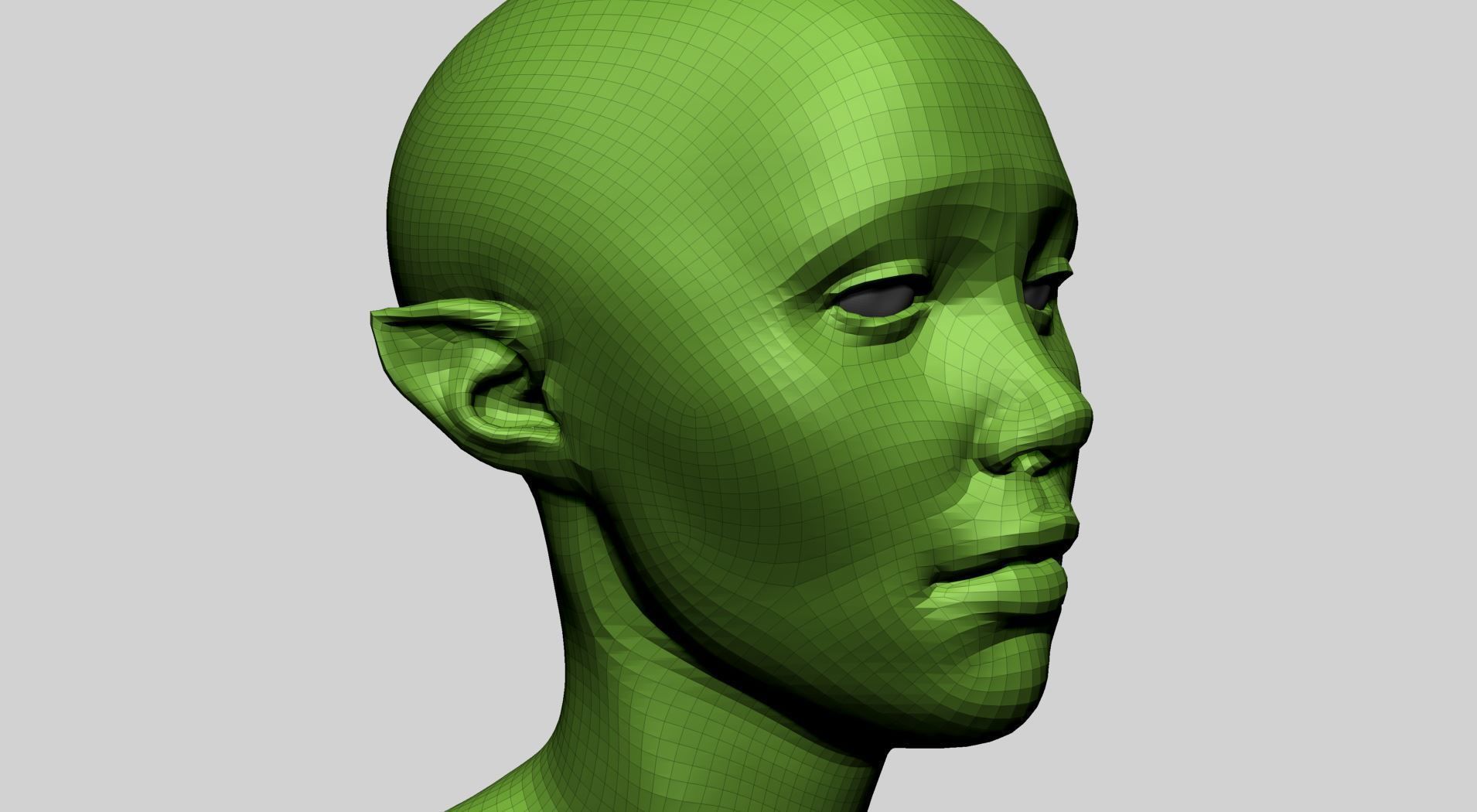 Female Head D 3D model_10