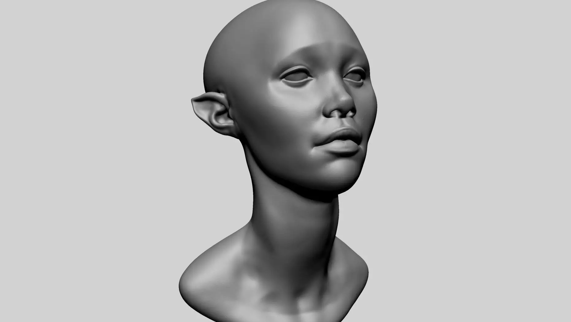 Female Head D 3D model_0