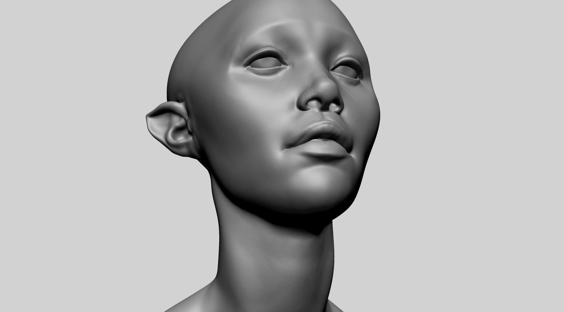 Female Head D 3D model_7
