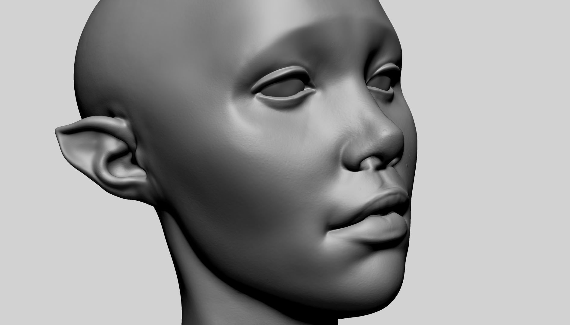 Female Head D 3D model_8