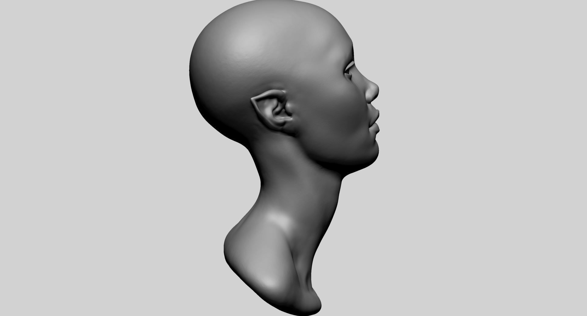Female Head D 3D model_1