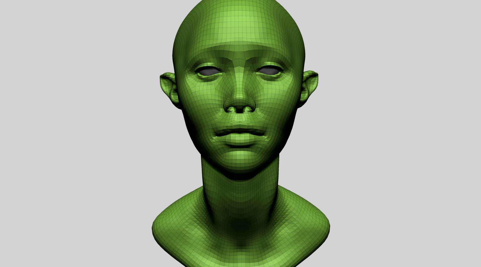 Female Head D 3D model_9