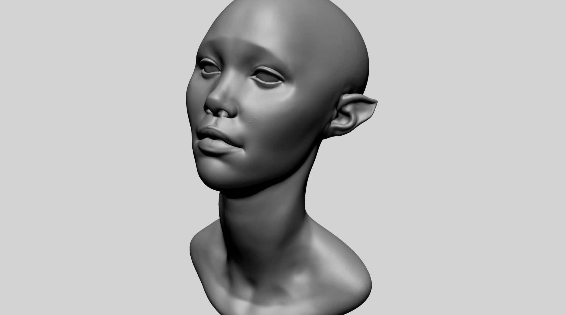 Female Head D 3D model_5