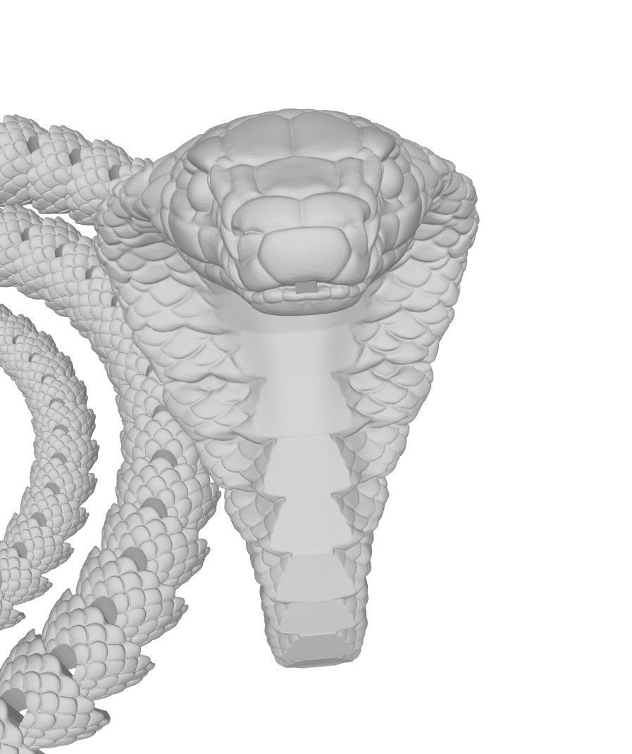 Flexi-Snake snake Free 3D print model_3