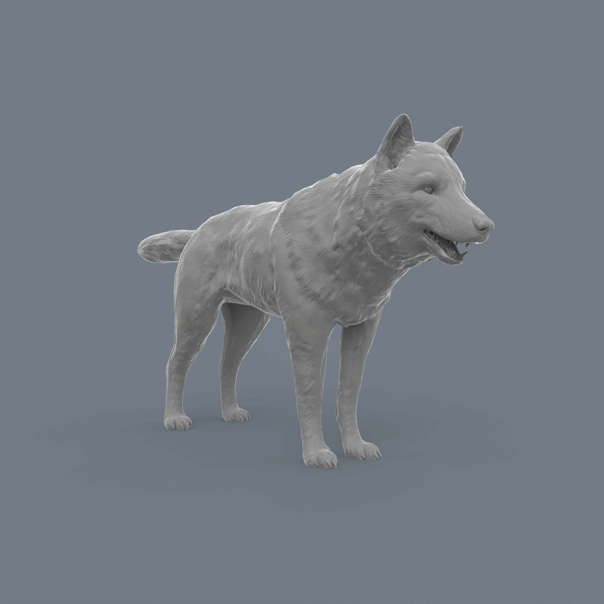 Wolf Low Poly Low-poly 3D model_15