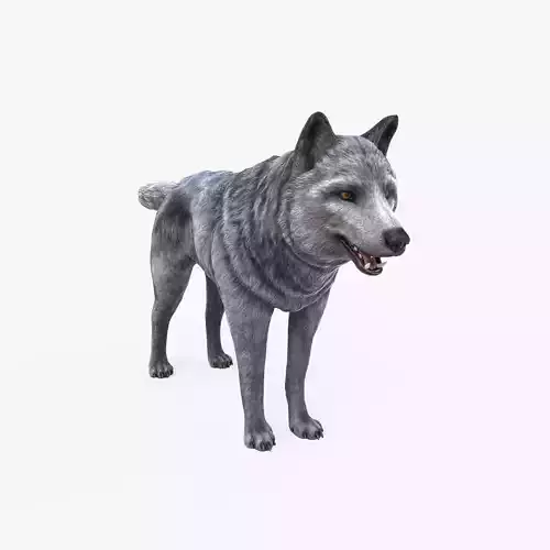 Wolf Low Poly Low-poly 3D model