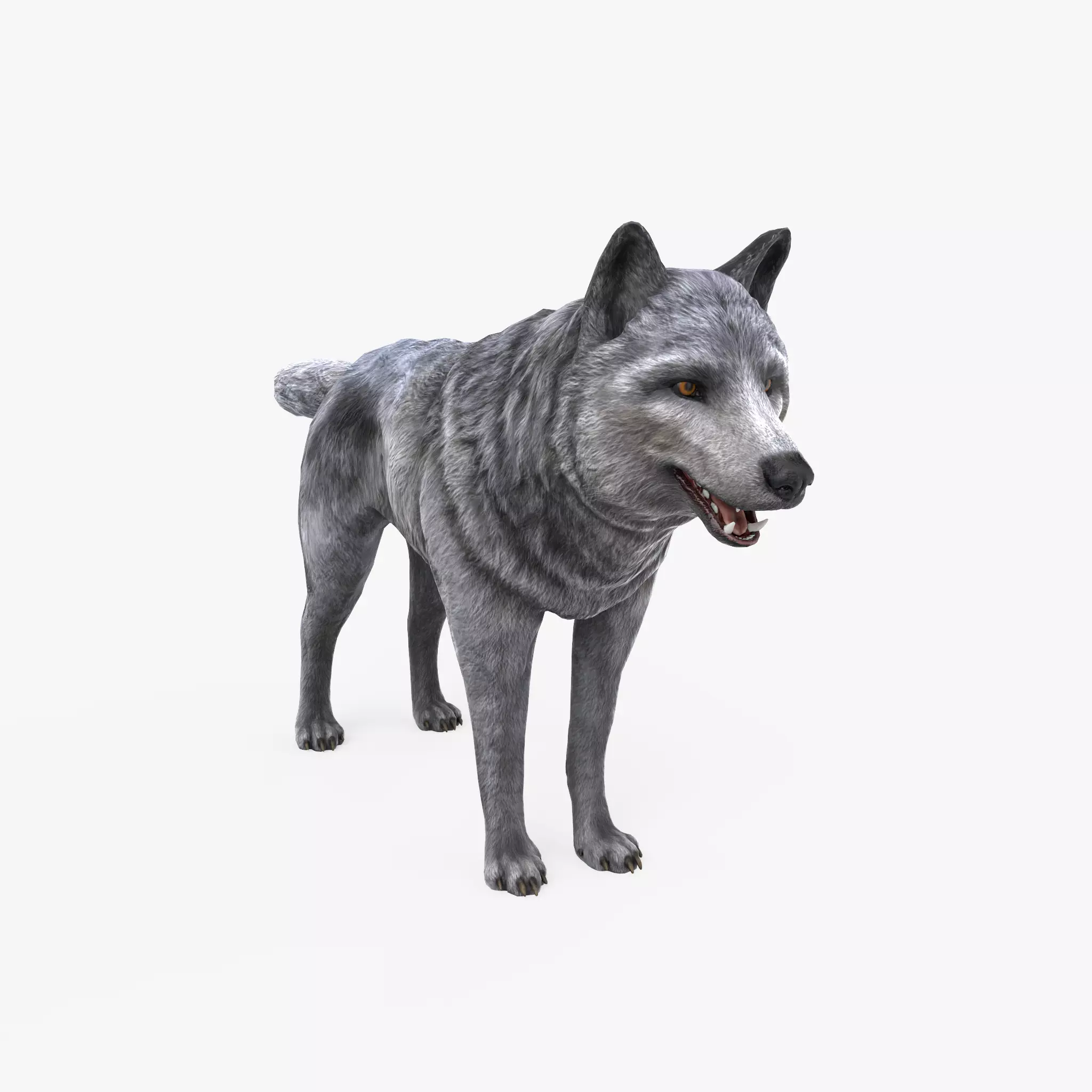 Wolf Low Poly Low-poly 3D model_0