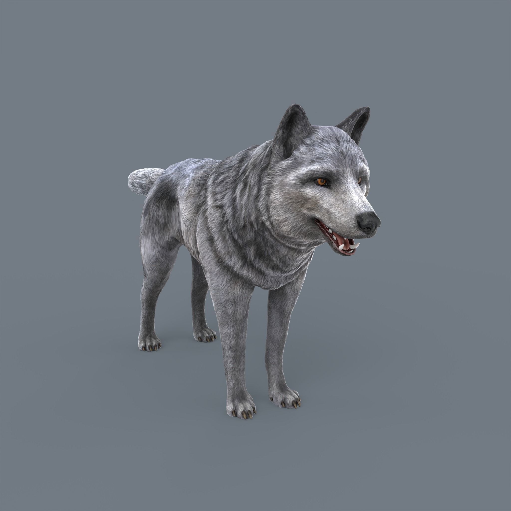 Wolf Low Poly Low-poly 3D model_1