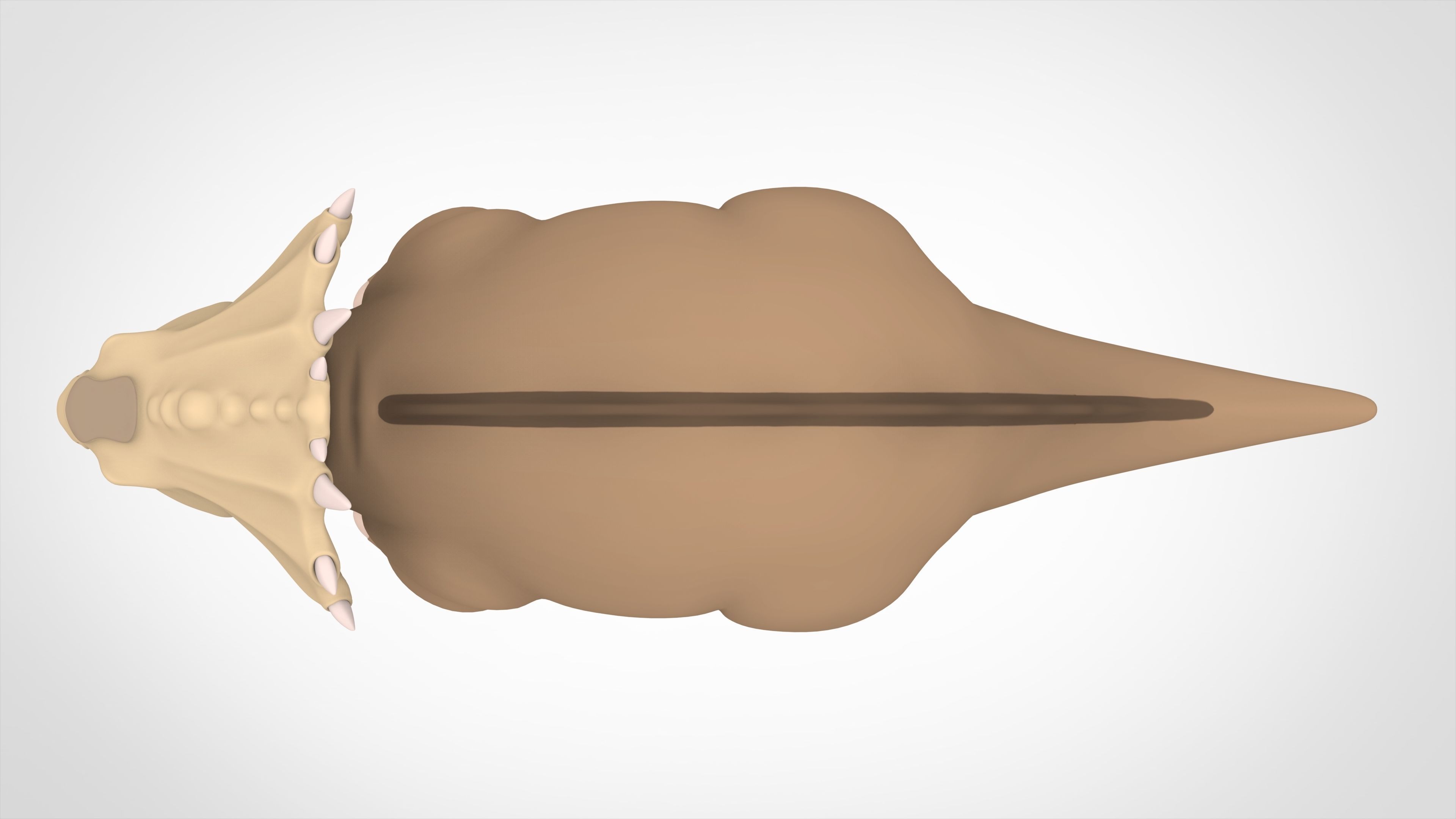 Mr Thicknose 3D model_4