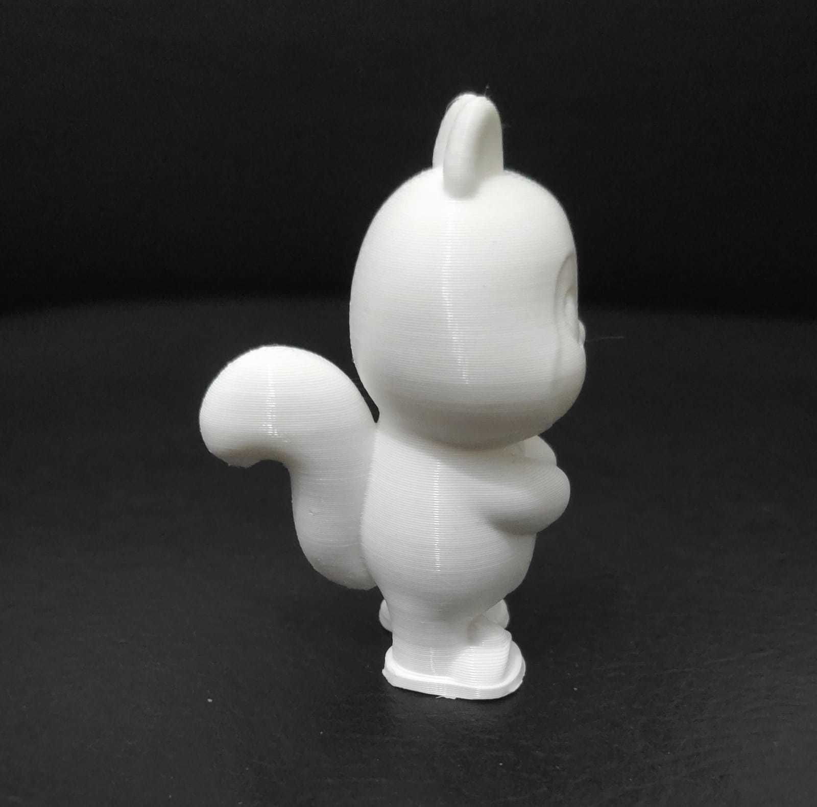 Squirrel Frog Shoes 3D print model_13