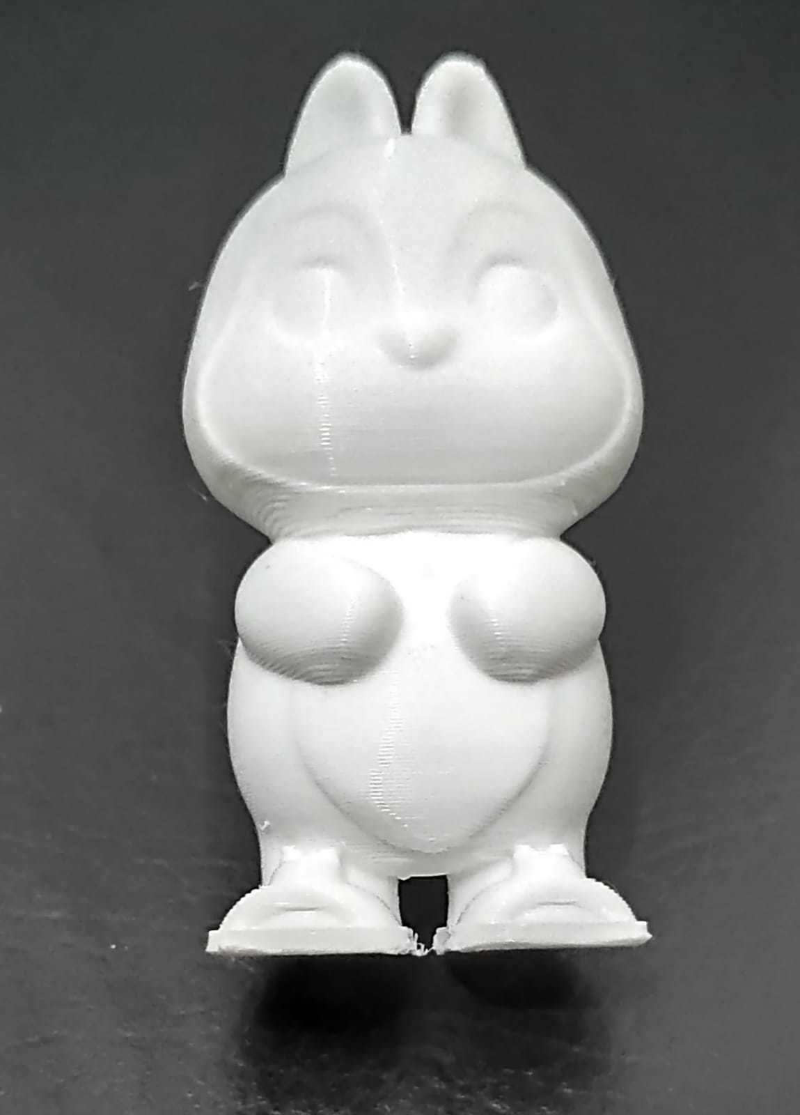 Squirrel Frog Shoes 3D print model_17