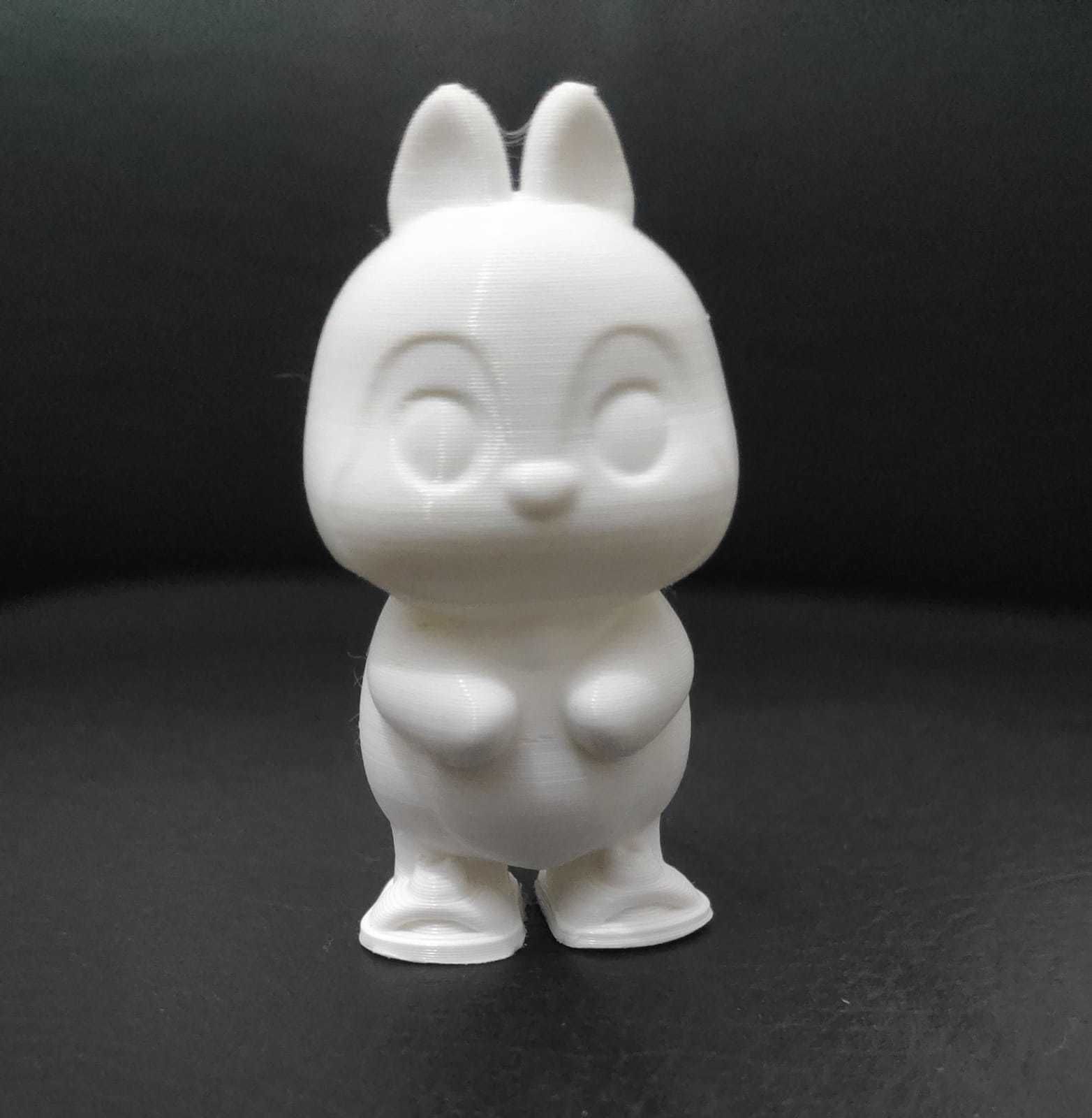 Squirrel Frog Shoes 3D print model_15