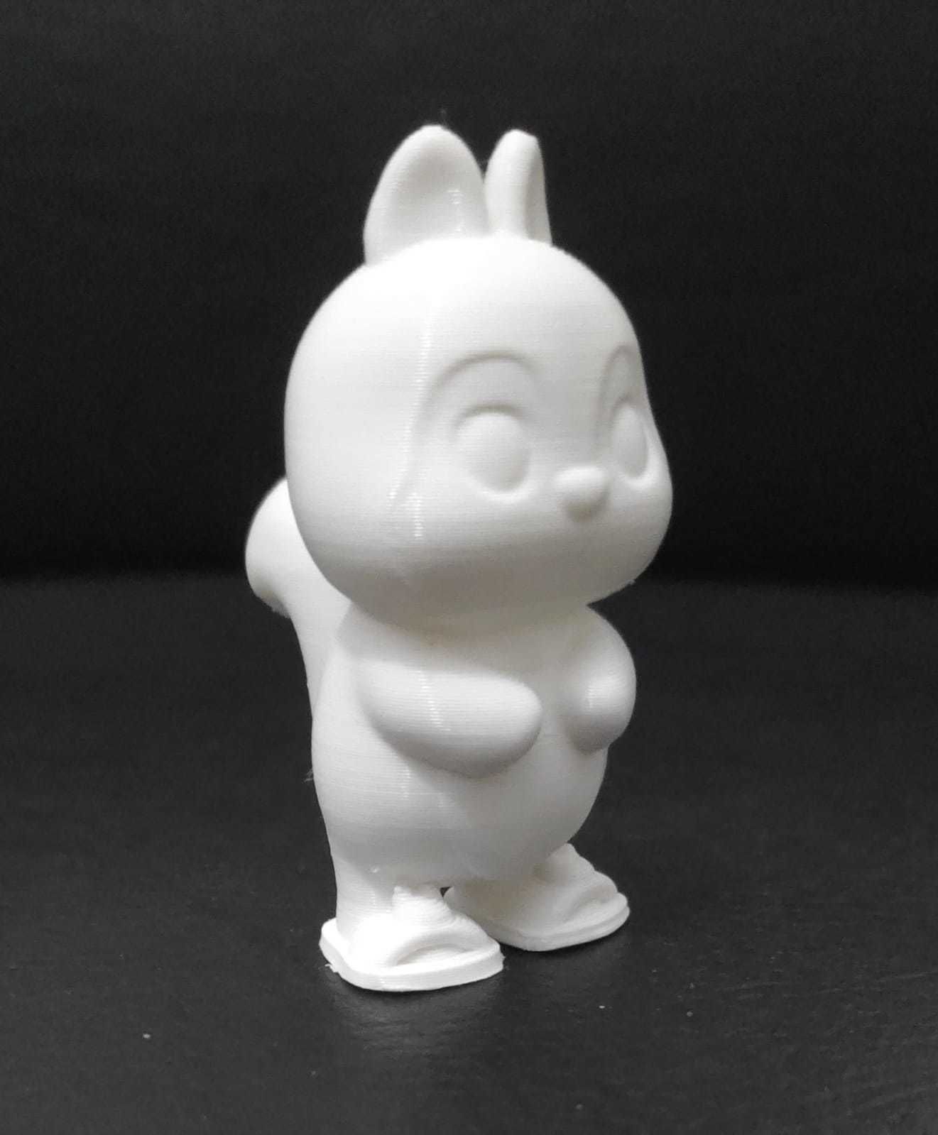 Squirrel Frog Shoes 3D print model_14