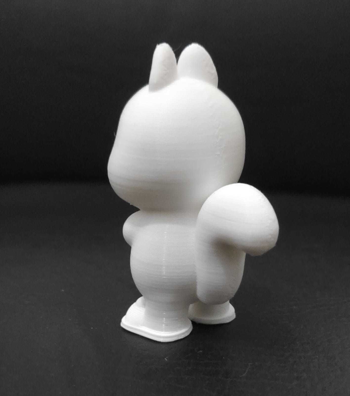 Squirrel Frog Shoes 3D print model_9