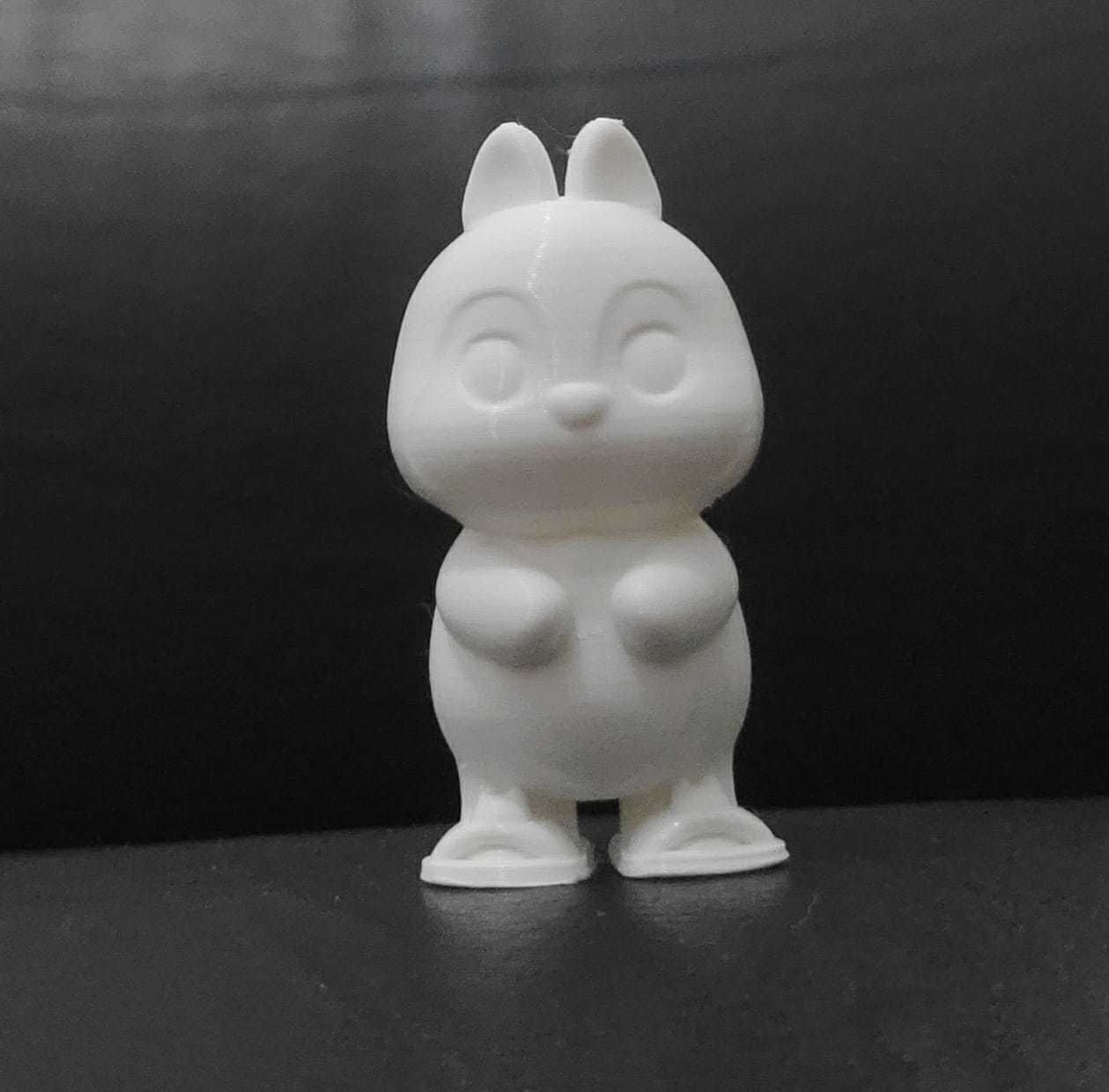 Squirrel Frog Shoes 3D print model_5