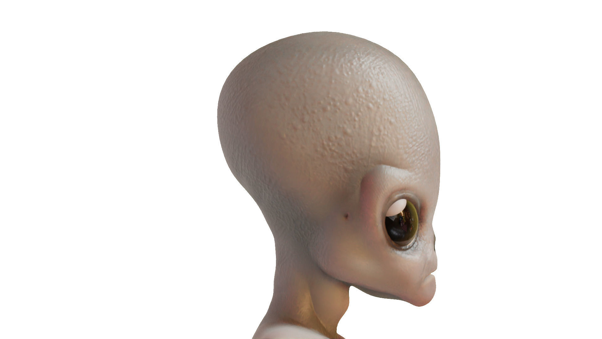 3D Alien Head 3D model_3