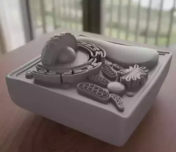Cell Vegetables 3D print model