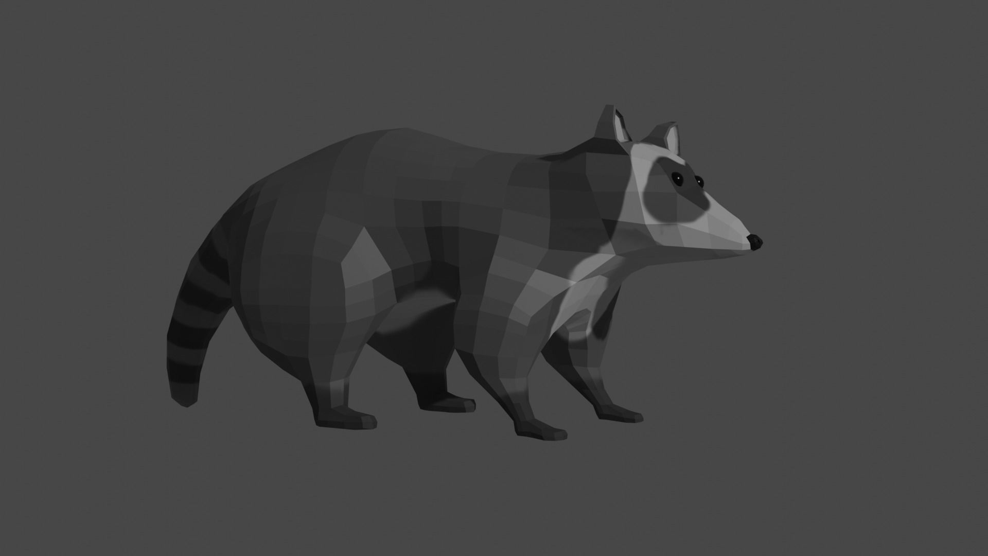 LowPoly Raccoon Low-poly 3D model_13