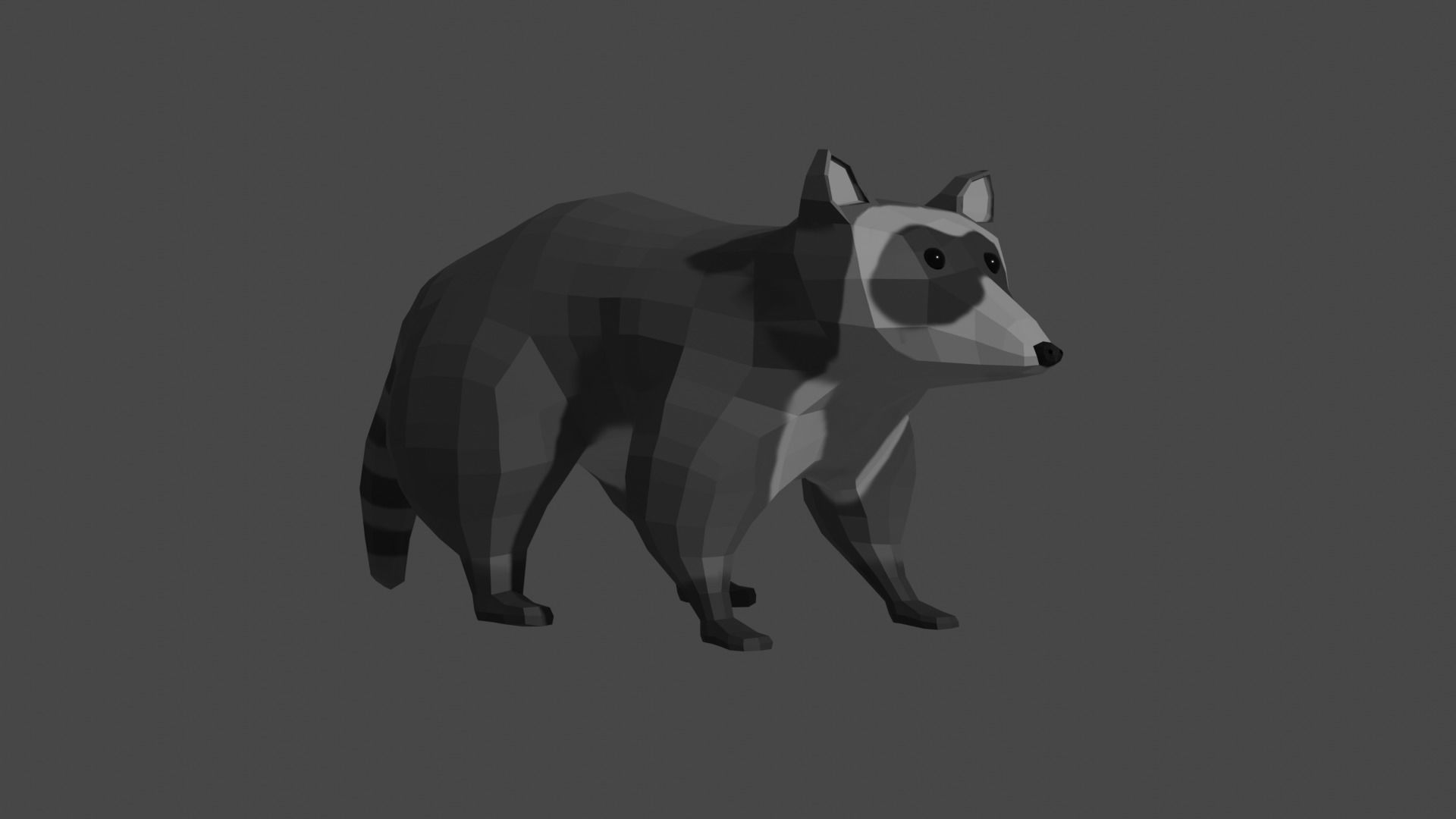 LowPoly Raccoon Low-poly 3D model_12