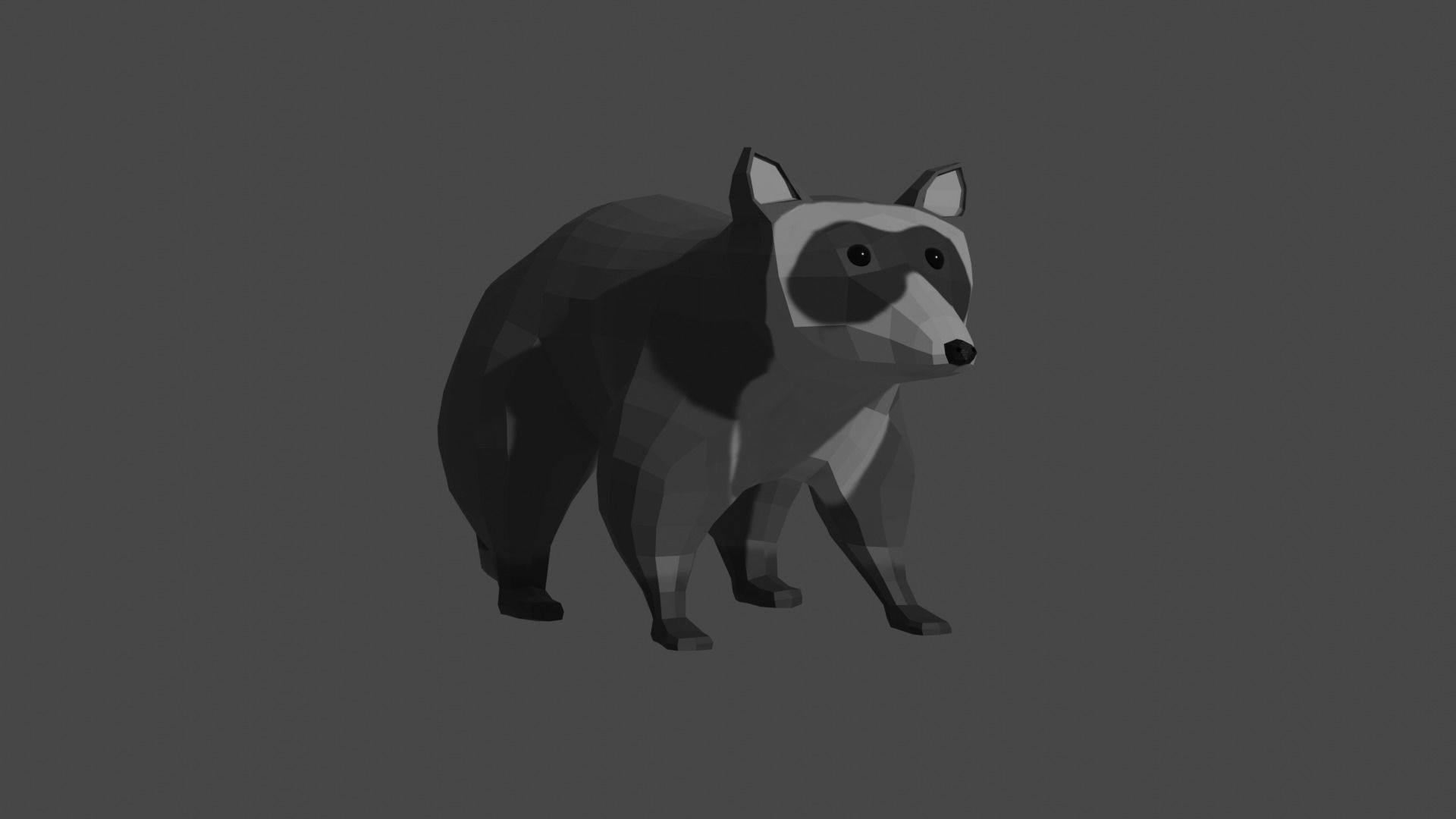 LowPoly Raccoon Low-poly 3D model_11