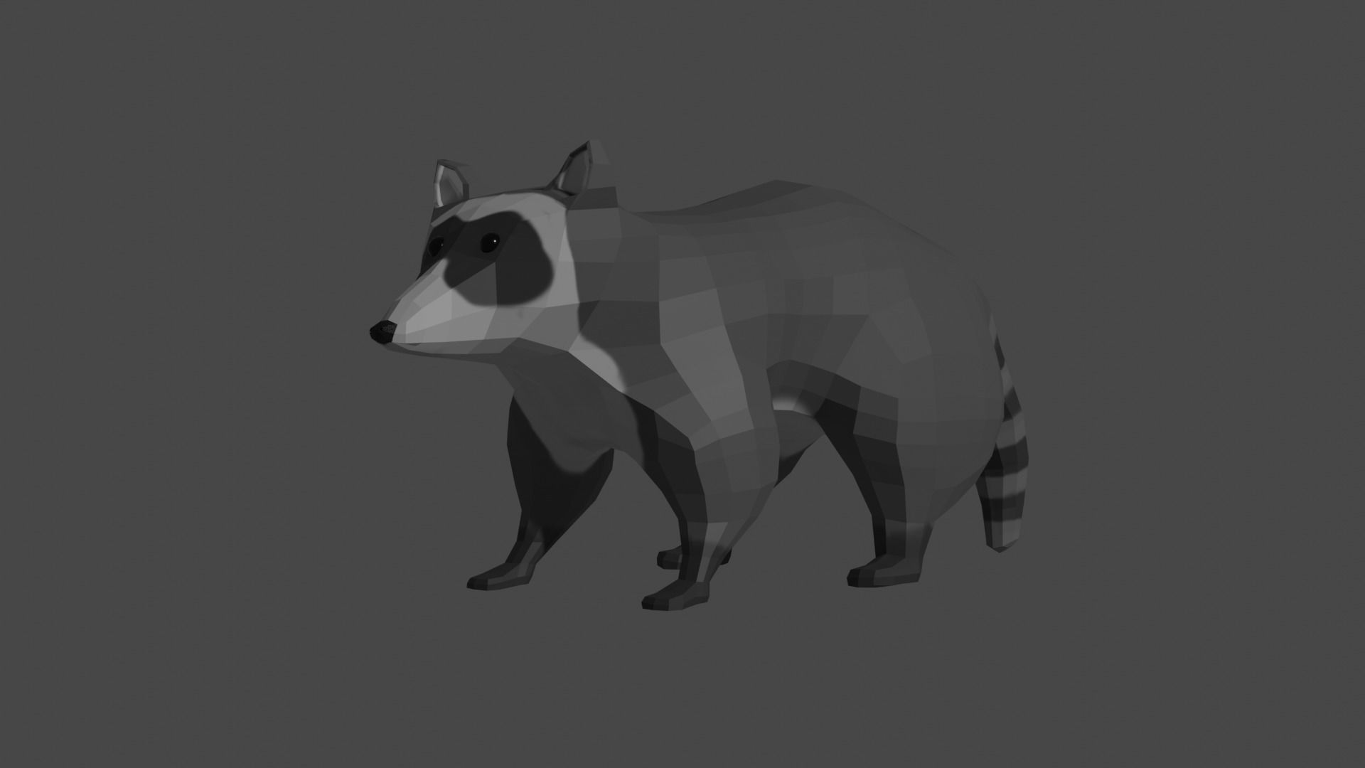 LowPoly Raccoon Low-poly 3D model_25