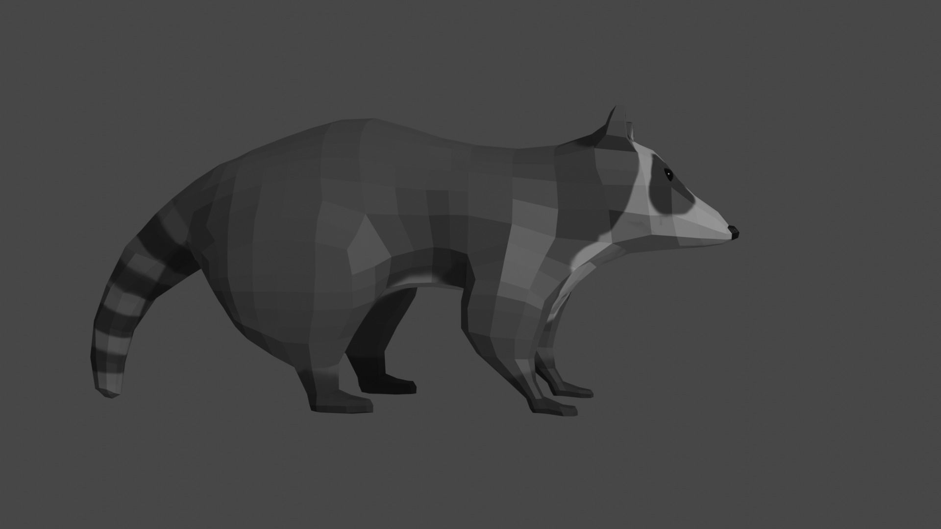 LowPoly Raccoon Low-poly 3D model_14