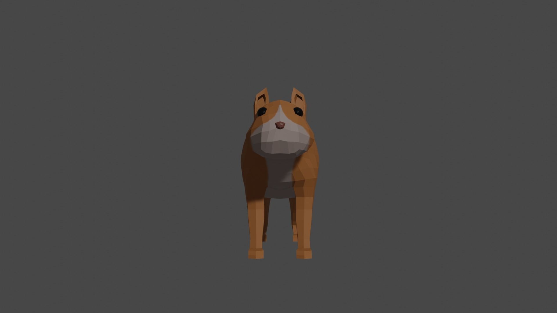 LowPoly Squirrel fox Low-poly 3D model_31