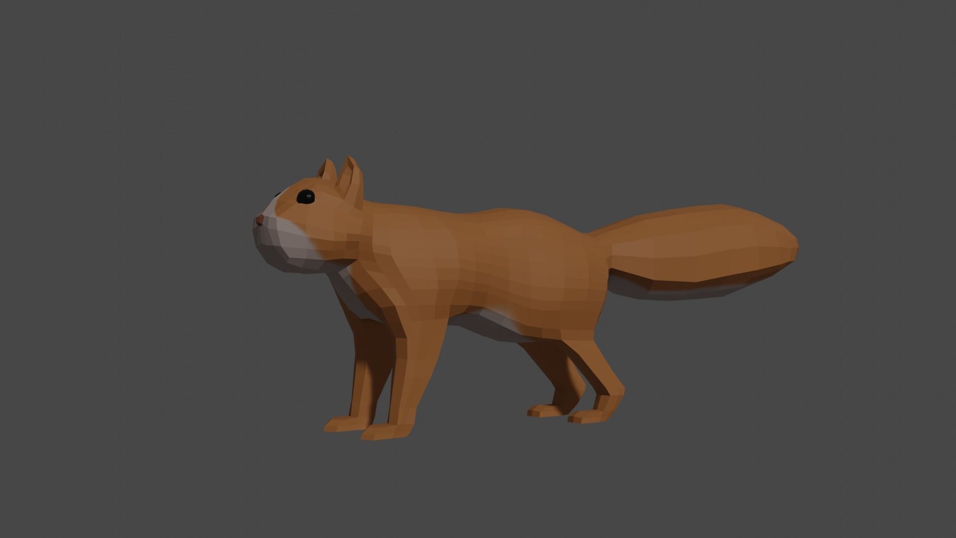 LowPoly Squirrel fox Low-poly 3D model_25